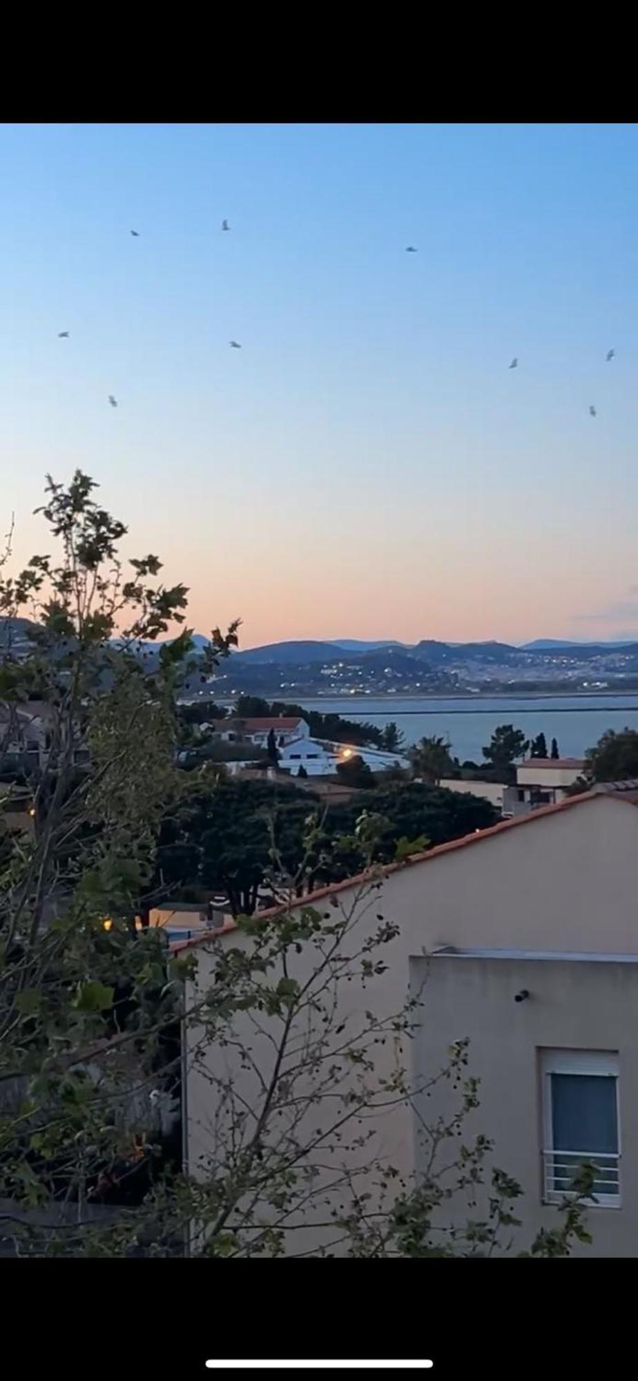 Superbe Duplex Refait A Neuf ! Daire Hyères Dış mekan fotoğraf